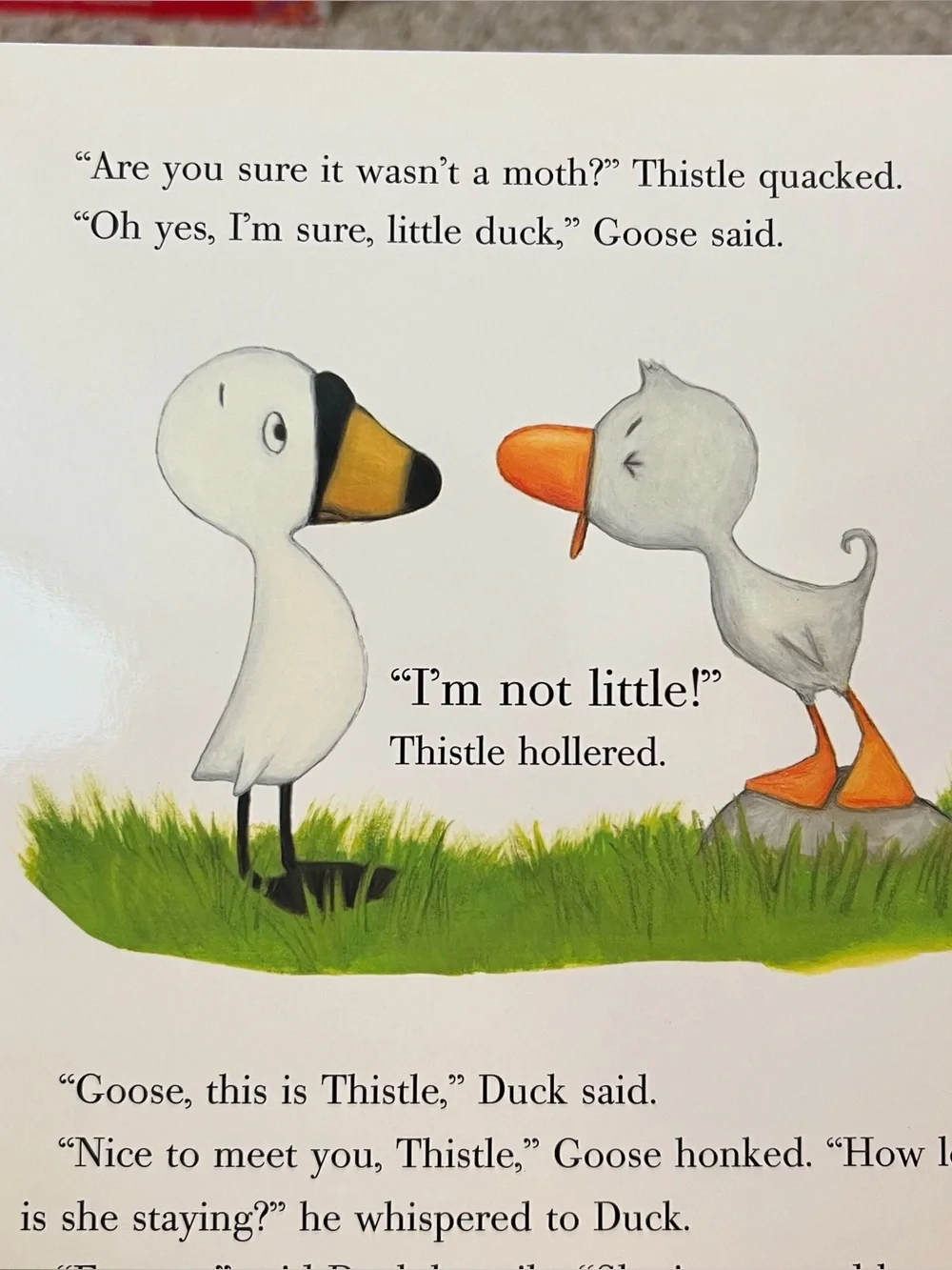 Baby Board Book Bundle Lets Count Anne Green GablesDuck Duck Goose Potty